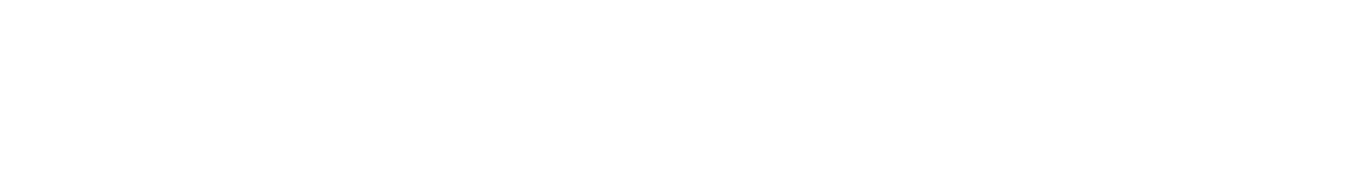 Simulator Radio logo